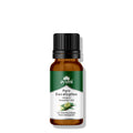 Ayumi Pure Eucalyptus Oil 20ml