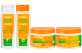 Cantu- Avocado Collection