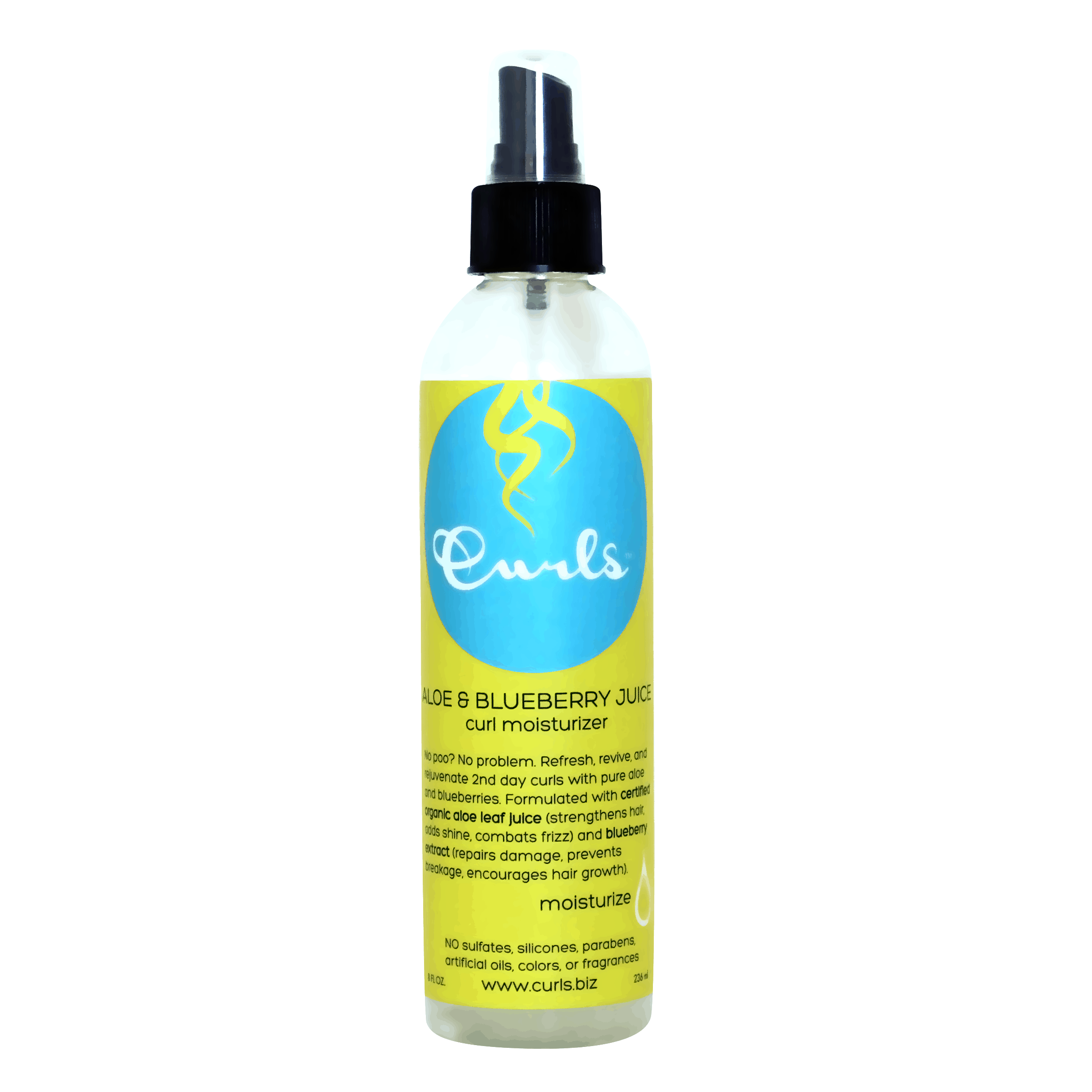 Curls - Aloe & Blueberry Juice Curl Moisturizer - 8 oz