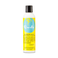 Curls - Blueberry Bliss Reparative Leave-In Conditioner - 8oz
