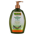 Organic Hair Energizer 5 in 1 Rejuvenating Shampoo 13 oz